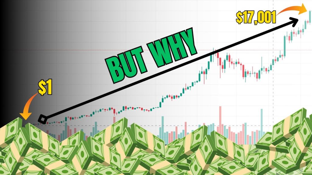 How The HELL Crypto Give 1000x RETURNS | Crypto Decoded