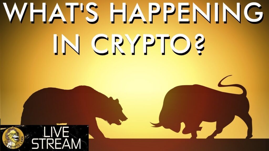 What's Happening in Crypto With Crypto Zombie