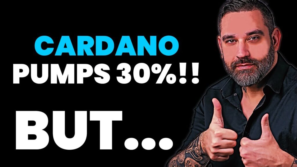 Cardano Pumps 30% BUT……