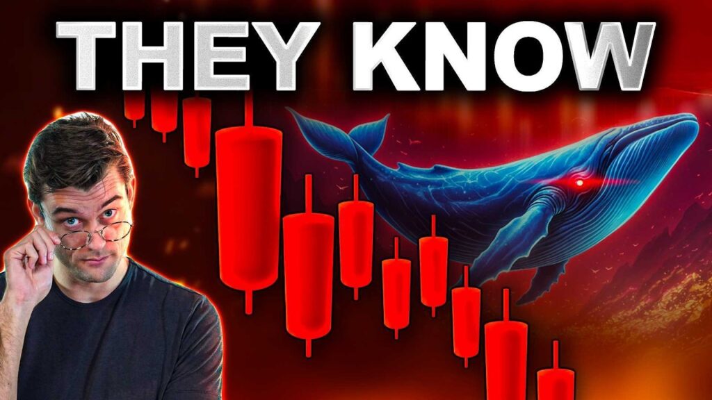 The Crypto Market Is RIGGED!? What You NEED To know!!