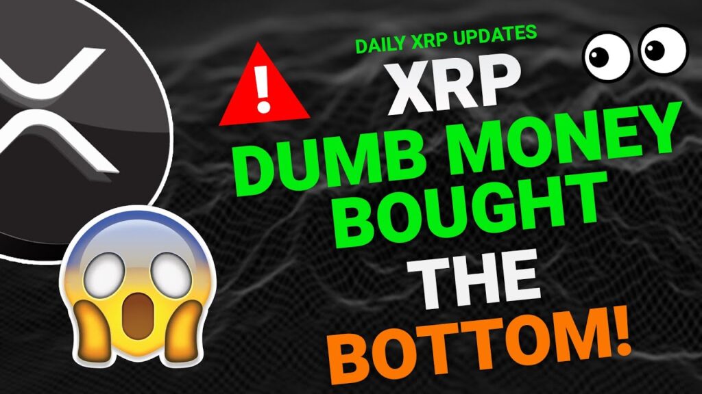 🔥 XRP & BITCOIN Daily Analysis XRP & BTC Price Prediction 2026 | Forecast & Key Levels 📈