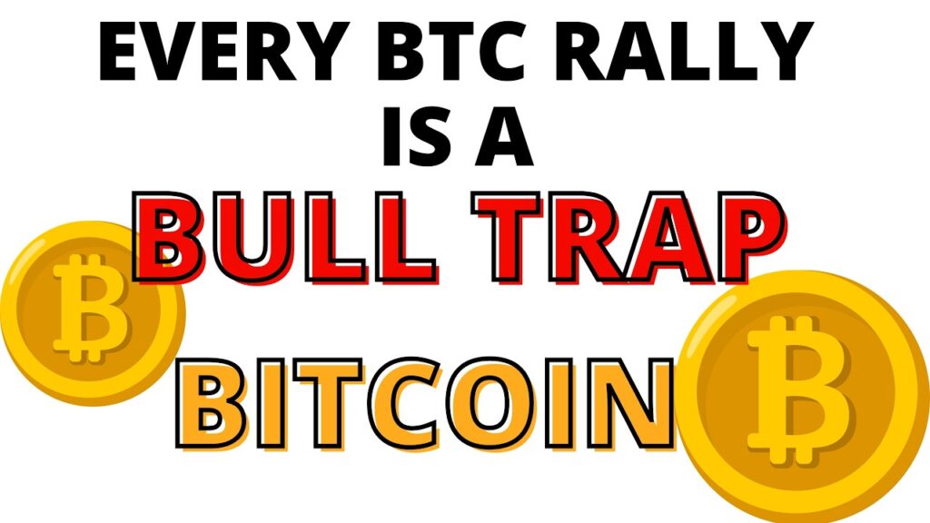 Bitcoin’s Weekly Chart Warned of a Top in Oct- Warned of a BTC Bear Market & Bottom Will Form Soon