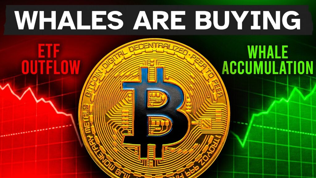 The ETF Lie Is Hiding Bitcoin’s Bottom