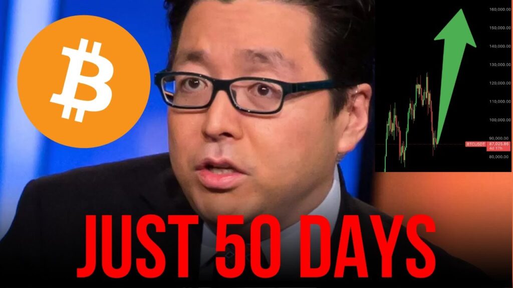 Tom Lee: BITCOIN TO 0,000 IN JANUARY?!!! (realistic analysis and QnA)
