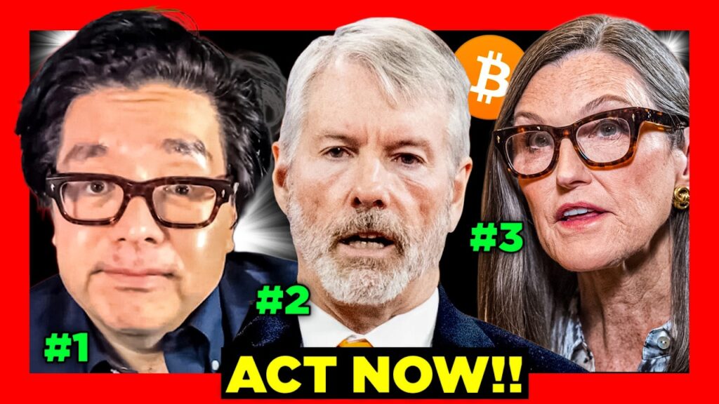Exactly How Bitcoin Reaches .5 Million By 2030 (3 Experts Explain)