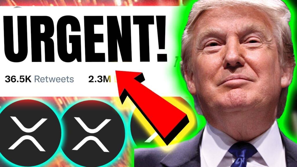XRP Price Is Moving Now 🔥 Know These NEXT CATALYSTS (urgent!) 🔥
