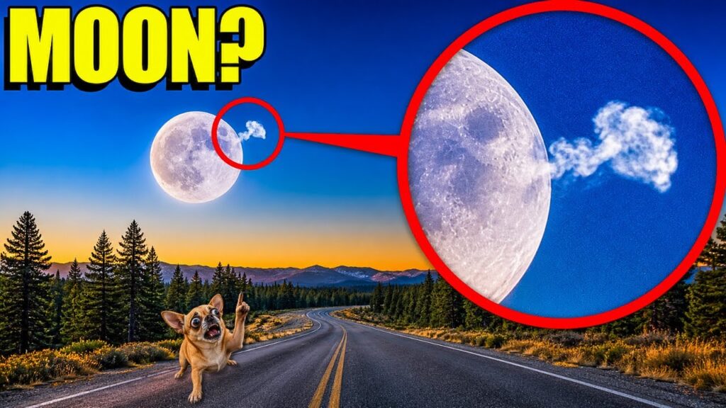 IF YOU SEE THIS ON THE MOON, CALL FOR HELP FAST! 😱 (IT WILL END US!)