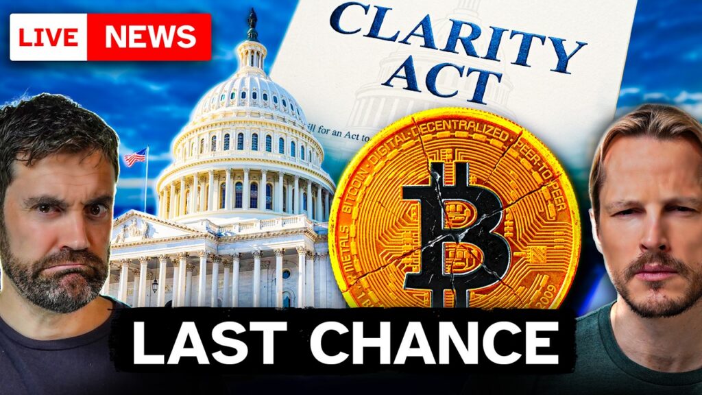 Clarity LAST Chance, Bitcoin Bounce & AI Collapse