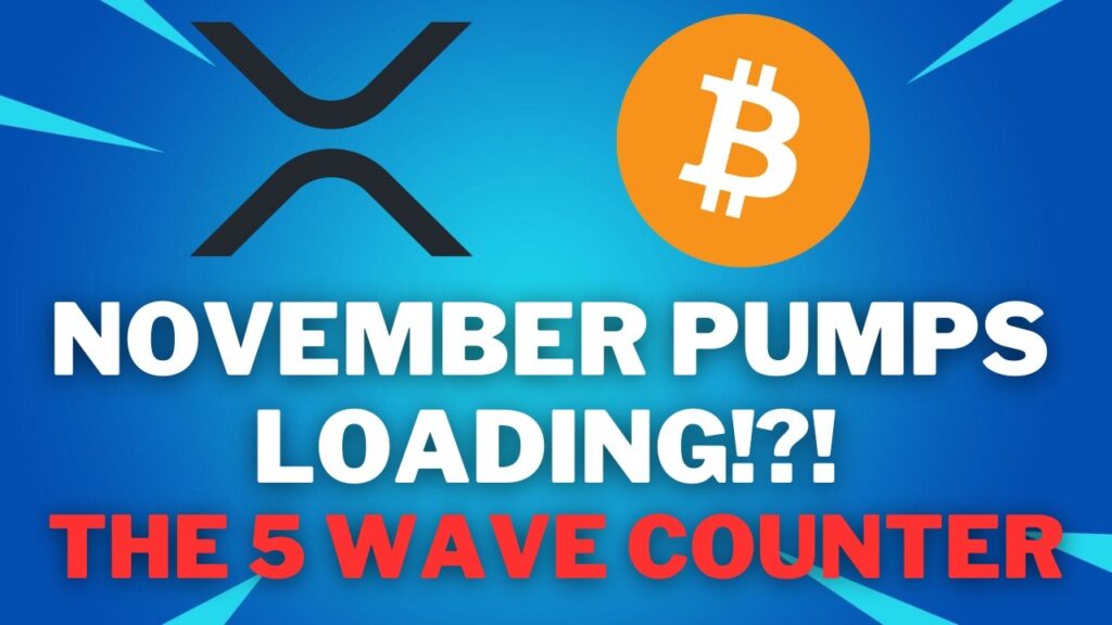 Bitcoin, XRP Update: Bullish data is stacking up for Bitcoin – The 5 wave counter trade Bitcoin, XRP Update: Bullish data is stacking up for Bitcoin – The 5 wave counter trade